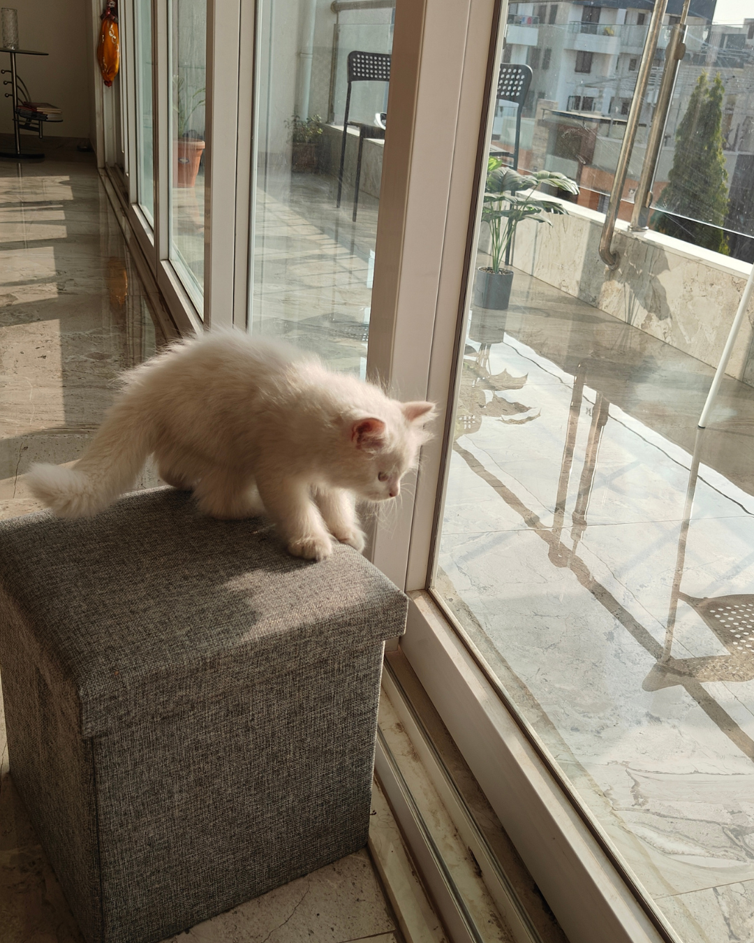 Black and Yellow Colorful Digital Marketing Instagram Post (3)